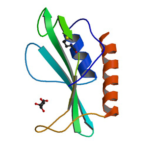 structure of PSI ID 2pWW