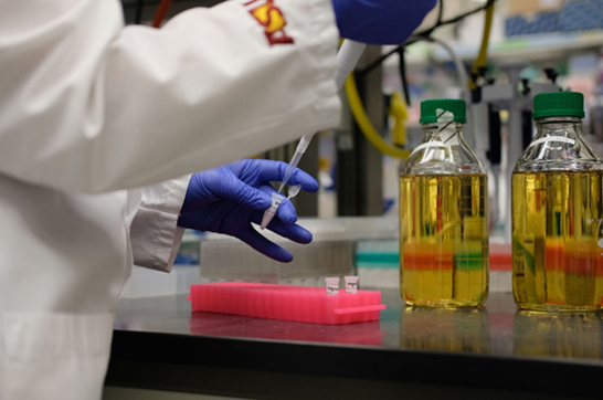 DNASU scientist depositing liquids into a tiny tube. Photo courtesy of ASU Media Relations
